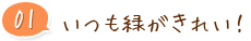 01 いつも緑がきれい！