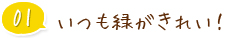 01 いつも緑がきれい！